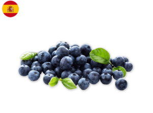 fruits blueberry organic delivery groceries hong kong