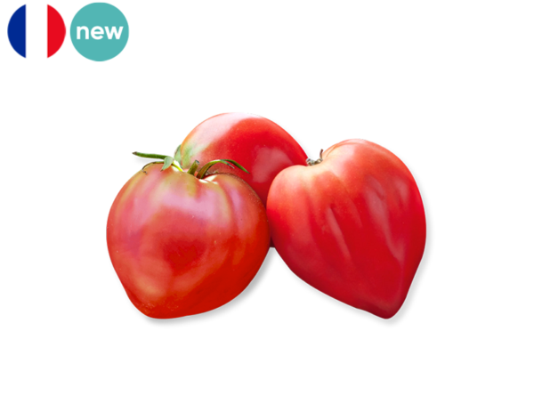 Tomato, Ox Heart from France (Organic)