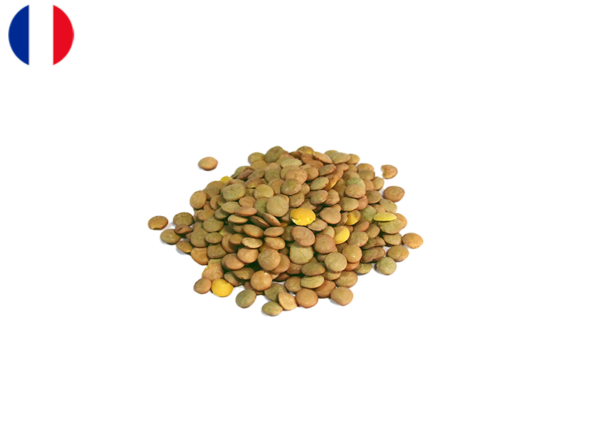 Lentils, Green from France (Demeter Biodynamic)