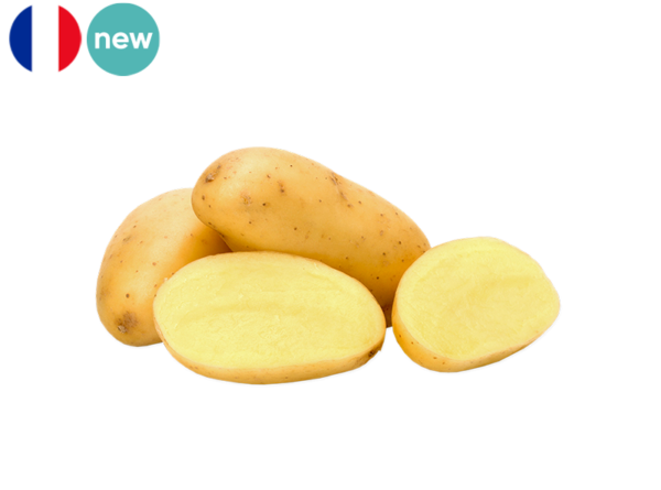 Potato New Harvest from France (Organic)