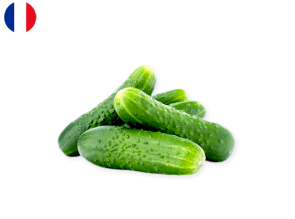 Cucumber, Noa Short from France (Organic)