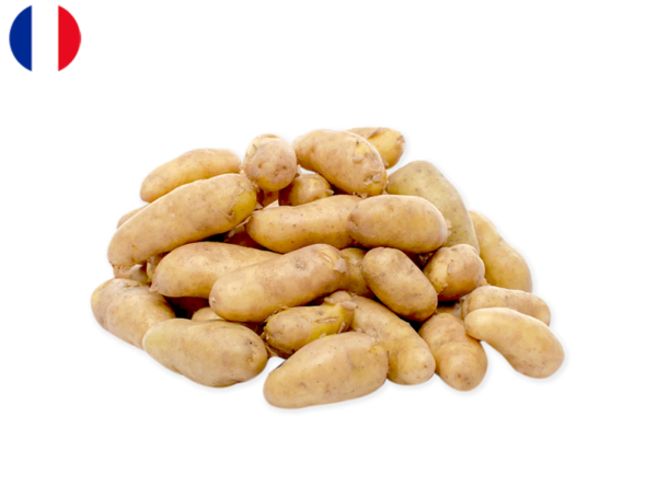 Potato, Ratte du Touquet from France