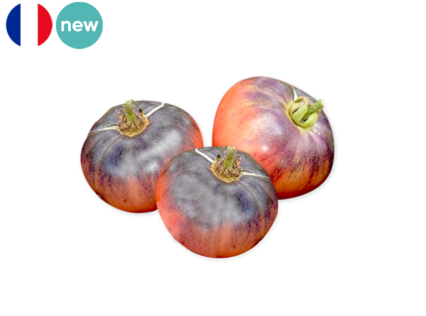 Tomato, Heirloom Blue from France (Organic)