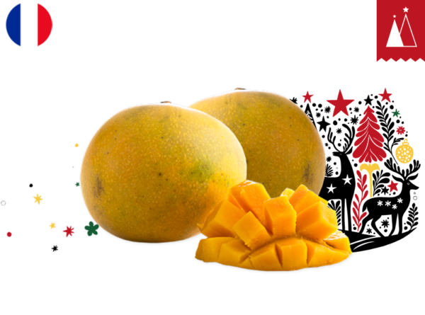 Mango, José from Reunion Island, France (Sustainable Agriculture)