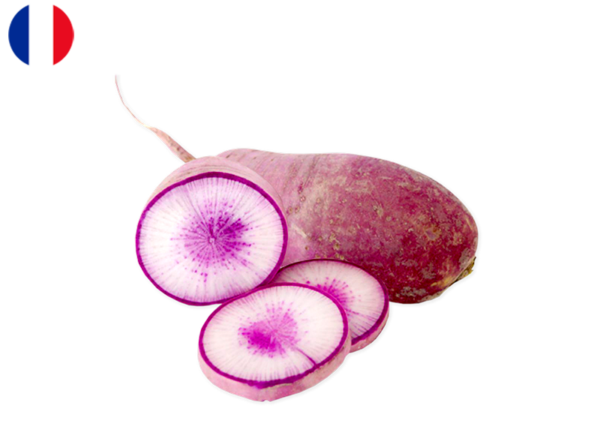 Radish, Blue Meat from France (Organic)