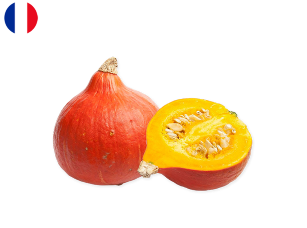 Squash, Red Kuri "Potimarron" from France (Organic)