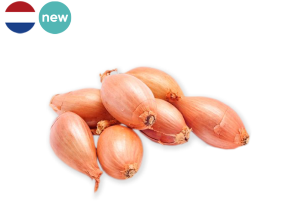 Shallot, Long from Netherlands (Organic)