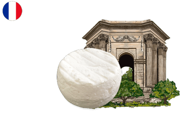 Cabécou du Tarn (Organic)