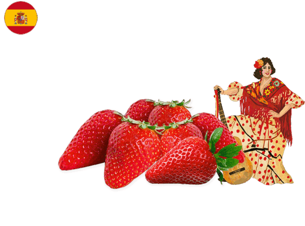Strawberry, from Spain