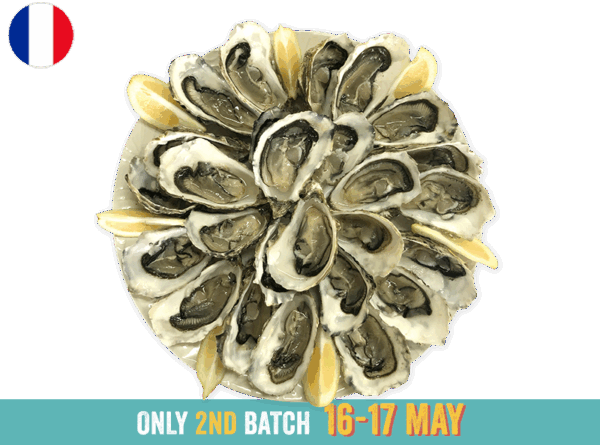 Oysters, Fines de Claire Marennes Olerons N°3 (x24)