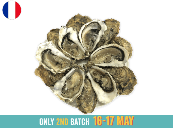 Oysters, Spéciales Jérôme Miet N°2 (x12)