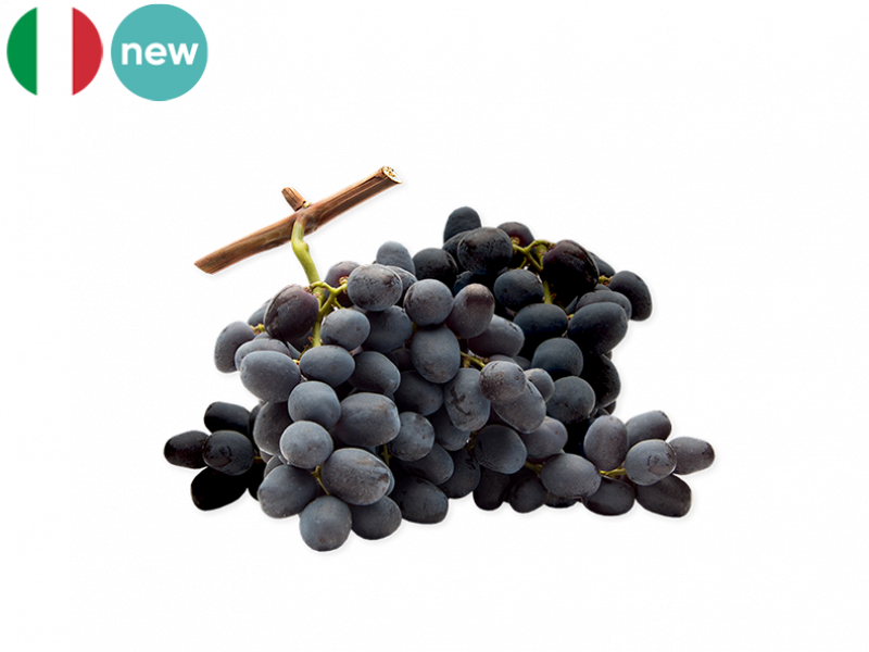 BLACK_GRAPE_BIG_PERLON_NEW_FGRAP15