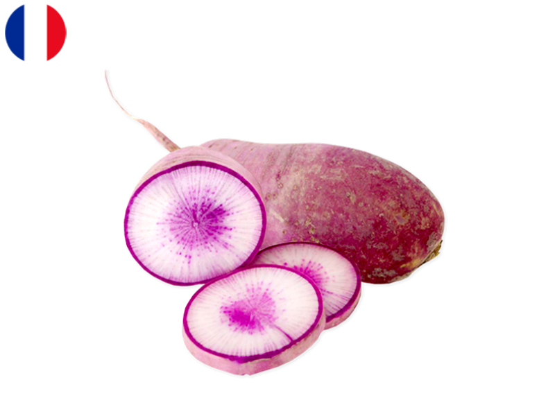 BLUE_MEAT_RADISH_FRADI03