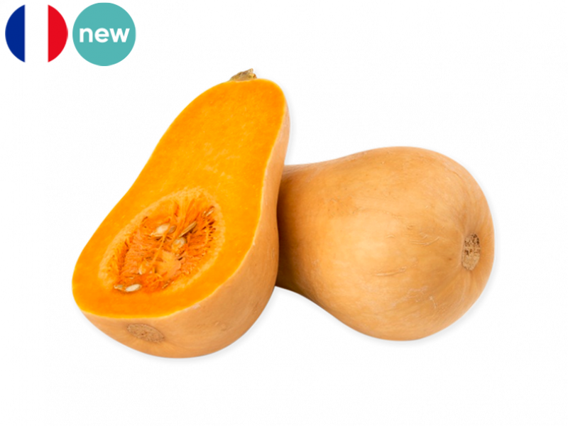 BUTTERNUT_SQUASH_NEW_FSQUA04