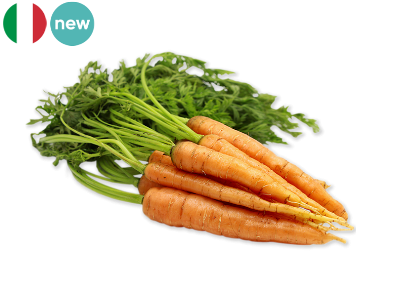 Carrot_Bunch_FCARR10
