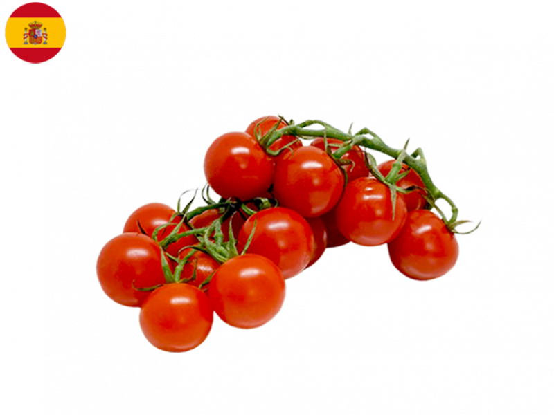 Cherry_Tomato_on_the_Vine_SPAIN_FTOMA04 (1)