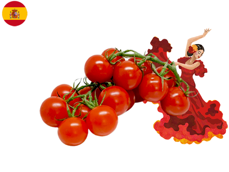 Cherry_Tomato_on_the_Vine_SPAIN_FTOMA04
