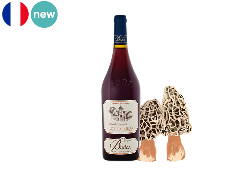 Côtes_du_Jura_AOC_Grains_de_Poulsard_Rubis_Domaine_Badoz_2020_WRED127