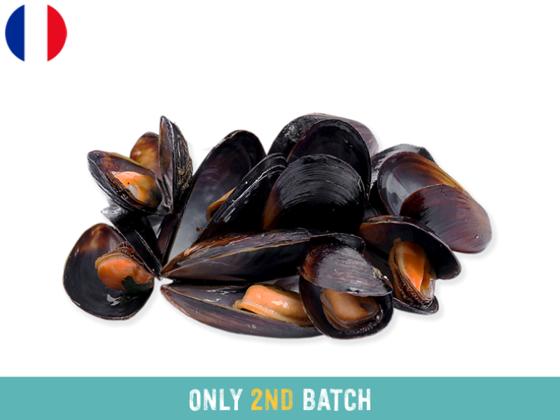 Fresh_Buchot_Mussels_AOP_from_Mont_Saint_Michel__2ND BATCH_SMUSS01