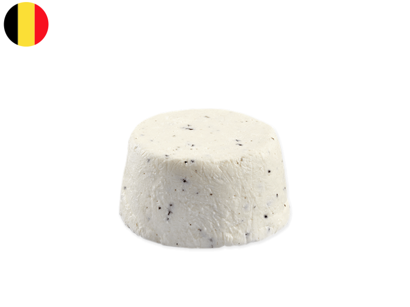 Fresh_Goat_Cheese_Truffle_Honey_CGOAT04