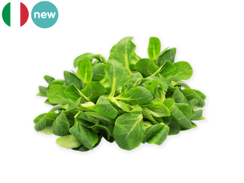 Lamb's_Lettuce_Italy_FLAMB03