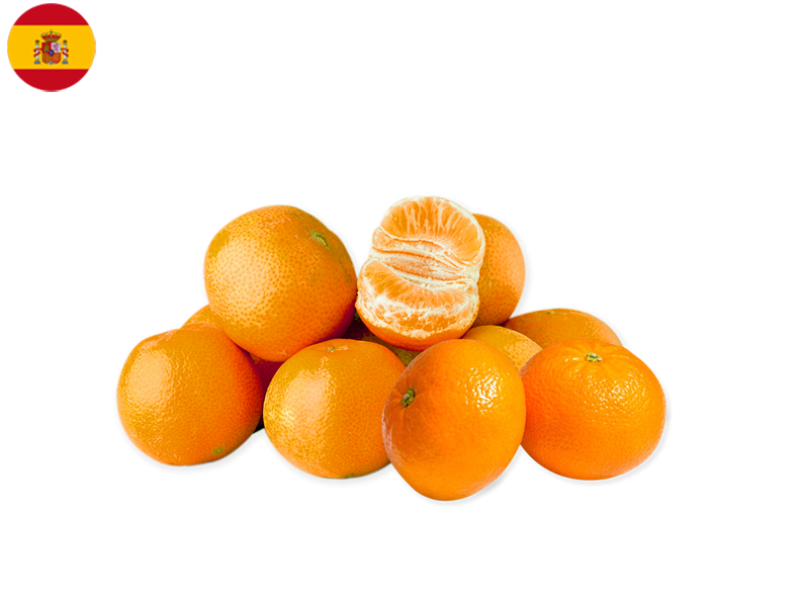 Mandarin_Orri_Spain_FMAND05