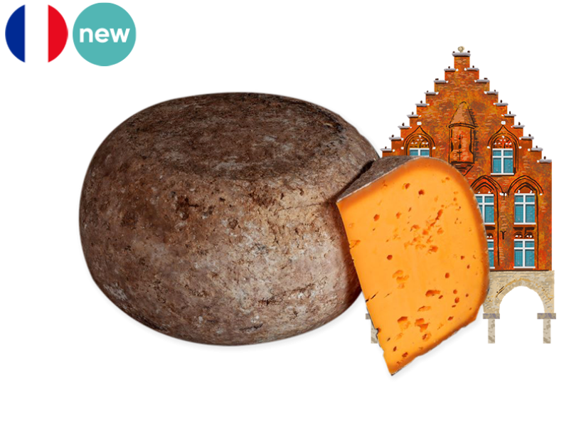 Mimolette_Côte_d’Opale_CMIMO06