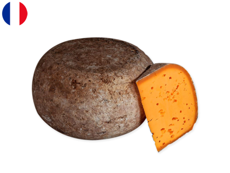 Mimolette_Côte_d’Opale_CMIMO06