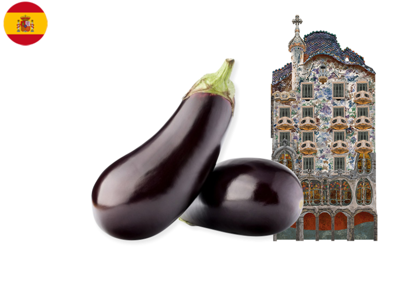 Organic_Eggplant_FEGG06
