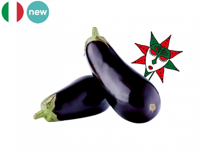 Organic_Half_Long_Violet_Eggplant_FEGG04