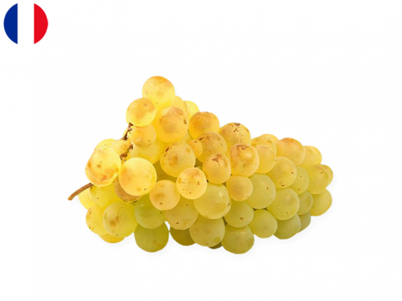 cheeseclub groceries delivery chasselas white grape fruits