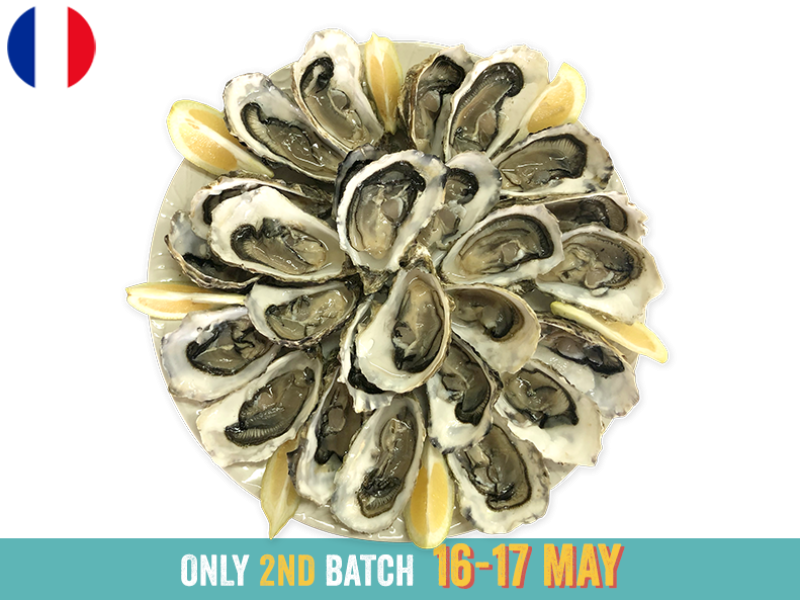 Oysters_Fines_de_Claire_Marennes_Olerons_N°3_x24_2ND BATCH_SOYST01