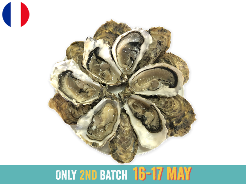 Oysters_Spéciales_Jérôme_Miet_N°2_x12_2ND BATCH_SOYST04