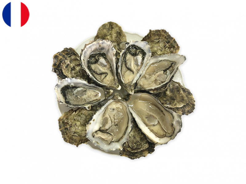 Oysters_Super_Spéciales_M_Jérôme_Miet_N°3_x12_SOYST06