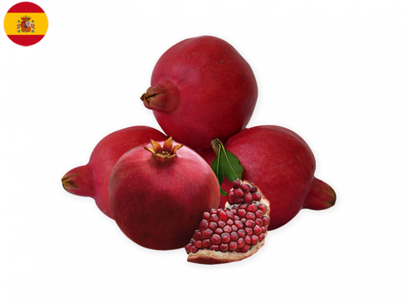 POMEGRANATE_PURPLE_QUEEN_FPOME01
