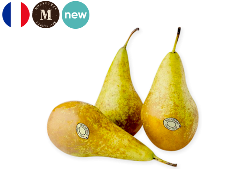 Pear_Conference_France_Mouneyrac