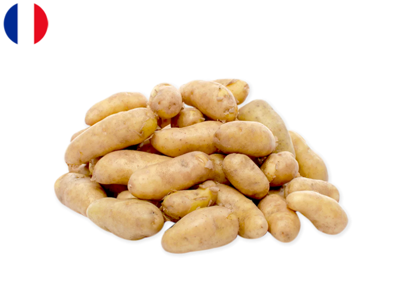 Potato_Ratte_du_Touquet_from_France_FPOTA39