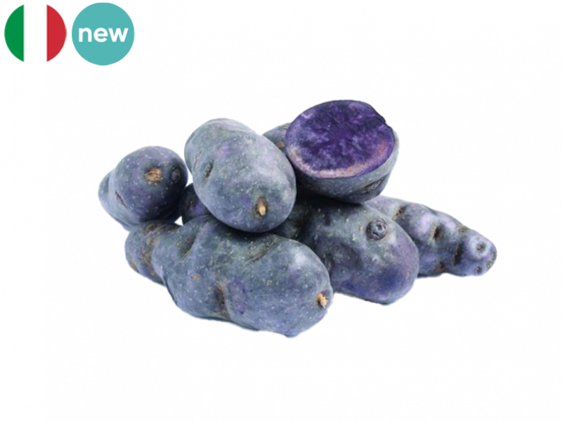 Potato_Sweet_Blue_from_Italy_FPOTA32