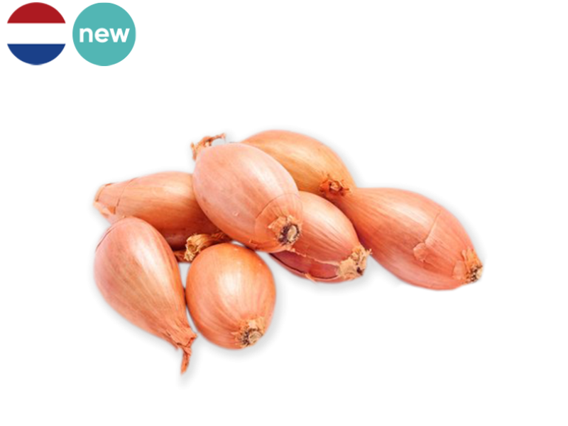 Shallot_Long_Netherlands_FSHAL06