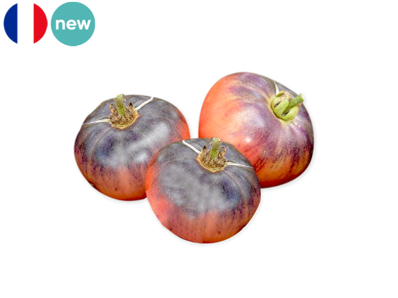 Tomato_Heirloom_Blue_France_FTOMA31