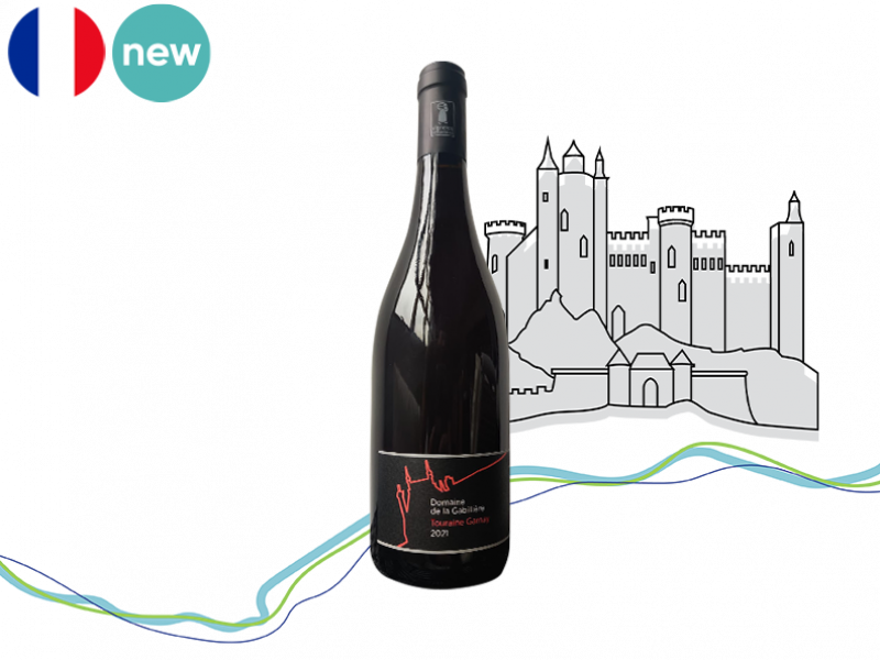 Touraine_AOC_Gamay_Domaine_de_la_Gabiliere_2021_WREDX112