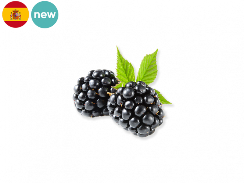blackberry_new_FBLAC01