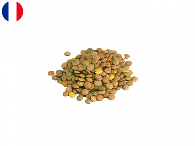 green_lentils_FLENT03