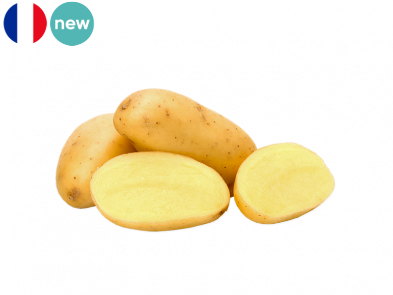 starlette_potato_new_FPOTA31