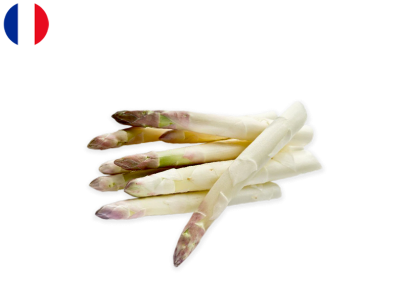 white_asparagus_FASPA08